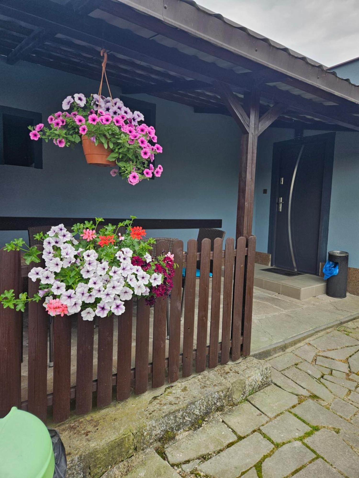 Areál Pauli Ceska Skalice Exterior foto